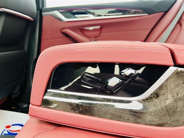 宝马5系 2020款 530Li 领先型 M运动套装