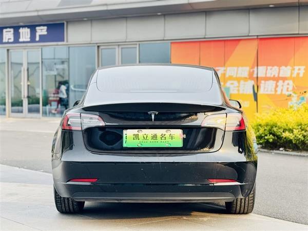 Model 3 2020款 标准续航后驱升级版