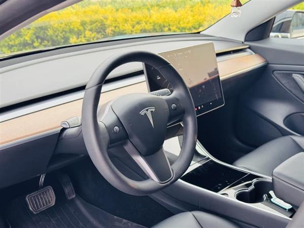 Model 3 2020款 标准续航后驱升级版