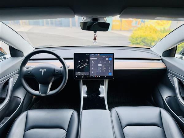 Model 3 2020款 标准续航后驱升级版