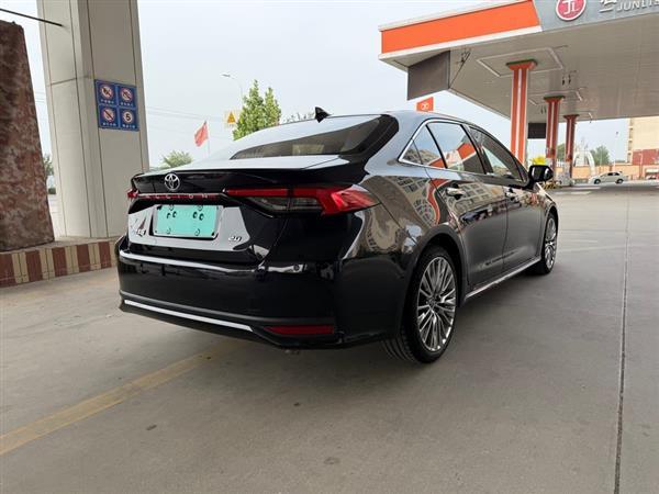 亚洲狮 2021款 2.0L 旗舰版
