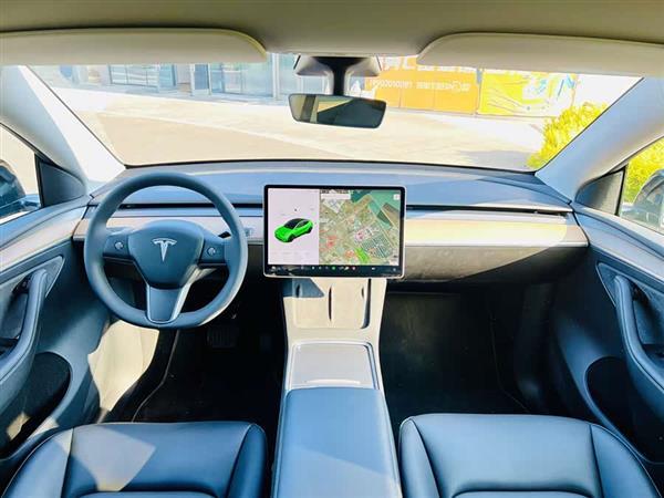 Model Y 2021款 长续航全轮驱动版 3D7