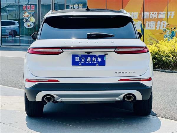 冒险家 2020款 2.0T 两驱尊享版