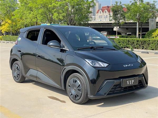 海鸥 2024款 荣耀版 305km 活力版