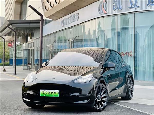 Model Y 2022款 Performance高性能全轮驱动版