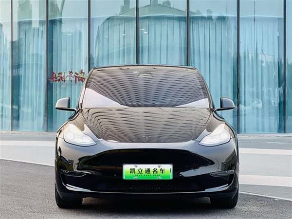 Model Y 2022款 Performance高性能全轮驱动版