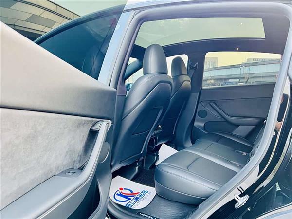 Model Y 2022款 Performance高性能全轮驱动版