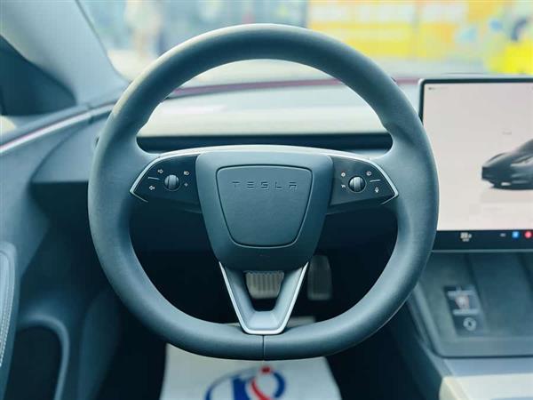 Model 3 2023款 长续航全轮驱动版