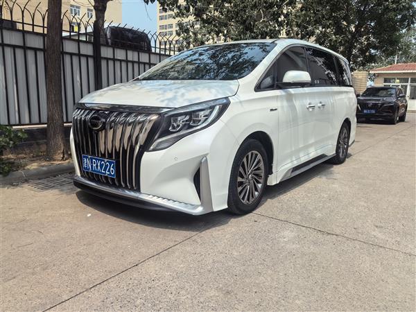 广汽传祺 传祺GM8 2021款 大师系列 390T 至尊版