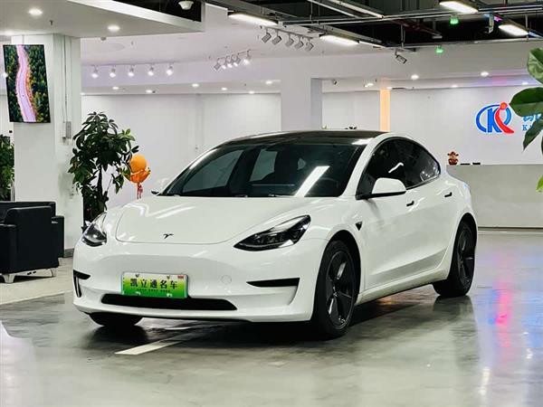 Model 3 2021款 标准续航后驱升级版 3D6