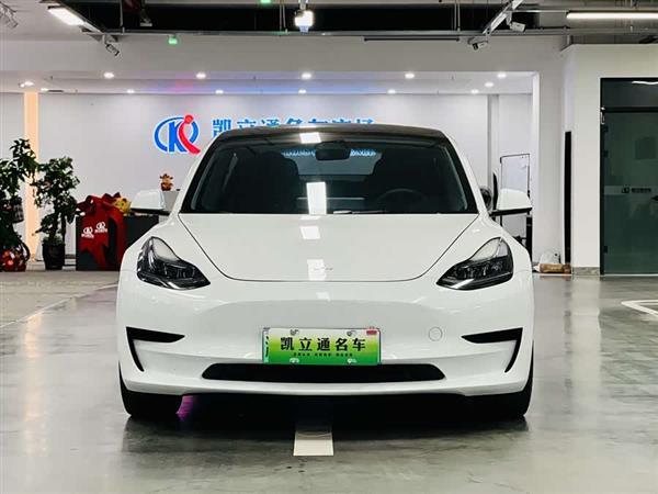 Model 3 2021款 标准续航后驱升级版 3D6