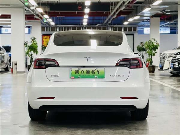 Model 3 2021款 标准续航后驱升级版 3D6