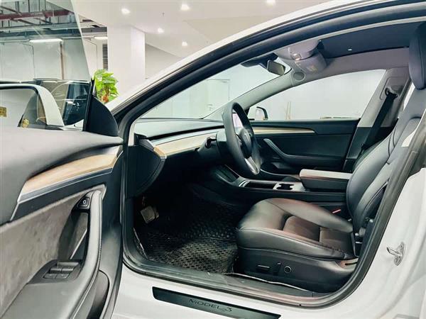 Model 3 2021款 标准续航后驱升级版 3D6