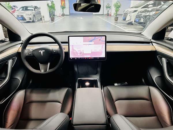 Model 3 2021款 标准续航后驱升级版 3D6