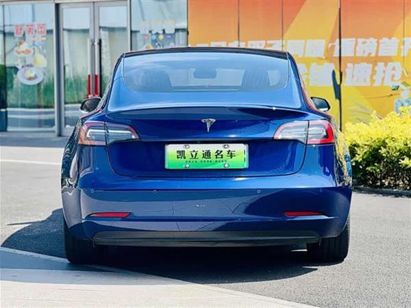 Model 3 2019款 标准续航后驱升级版