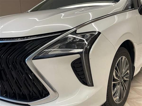 风行游艇 2024款 1.5T DCT 观海版