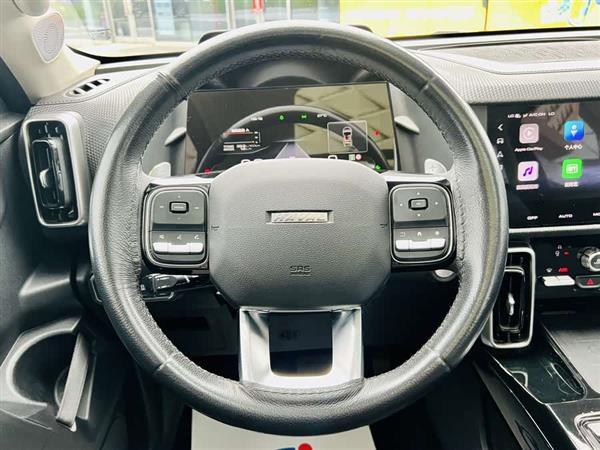 哈弗大狗 2021款 1.5T DCT两驱边牧版