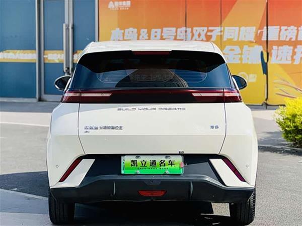 海鸥 2023款 自由版