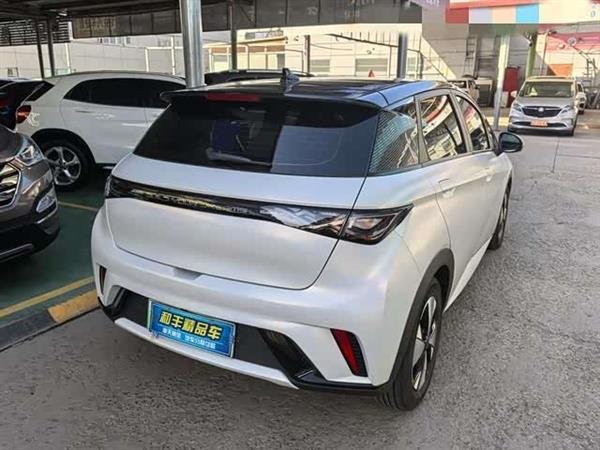 海豚 2023款 420km 时尚版
