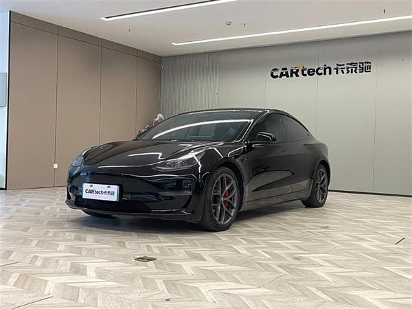 Model 3 2021款 Performance高性能全轮驱动版 3D6
