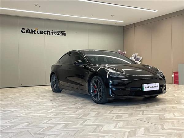 Model 3 2021款 Performance高性能全轮驱动版 3D6