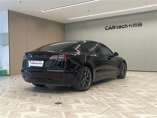 Model 3 2021款 Performance高性能全轮驱动版 3D6