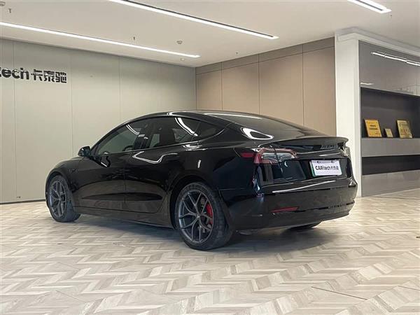 Model 3 2021款 Performance高性能全轮驱动版 3D6