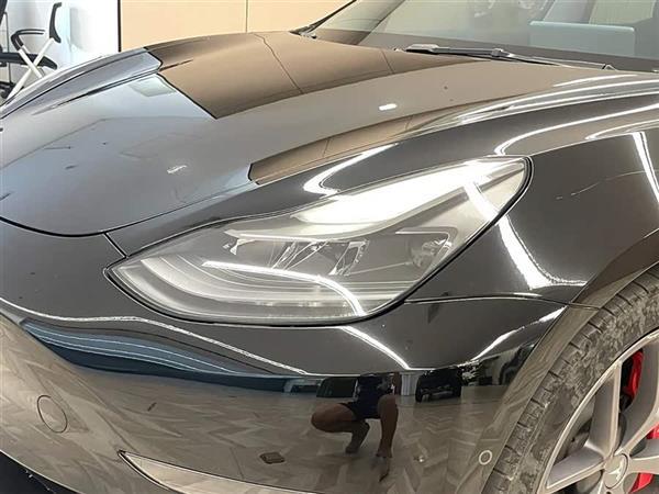Model 3 2021款 Performance高性能全轮驱动版 3D6