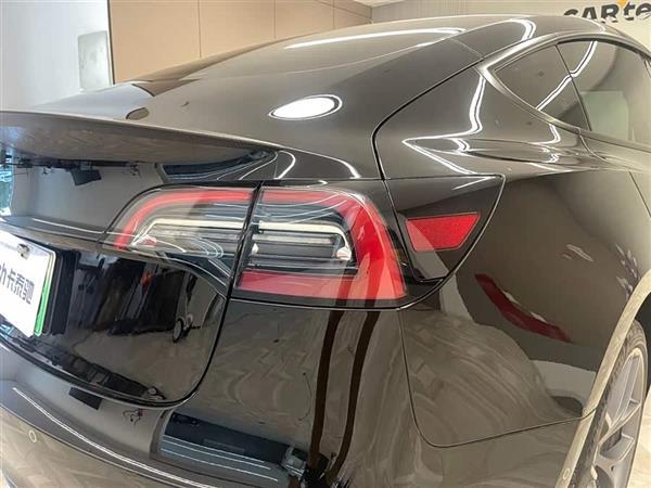 Model 3 2021款 Performance高性能全轮驱动版 3D6