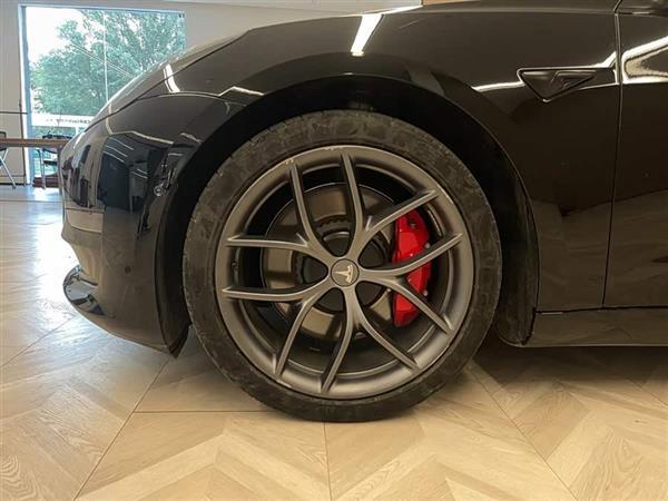 Model 3 2021款 Performance高性能全轮驱动版 3D6
