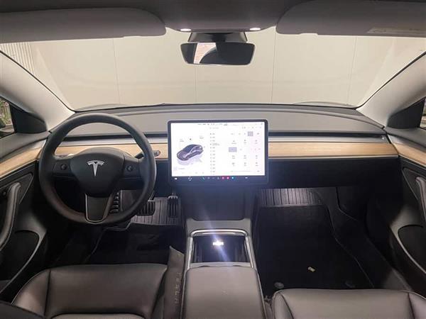 Model 3 2021款 Performance高性能全轮驱动版 3D6