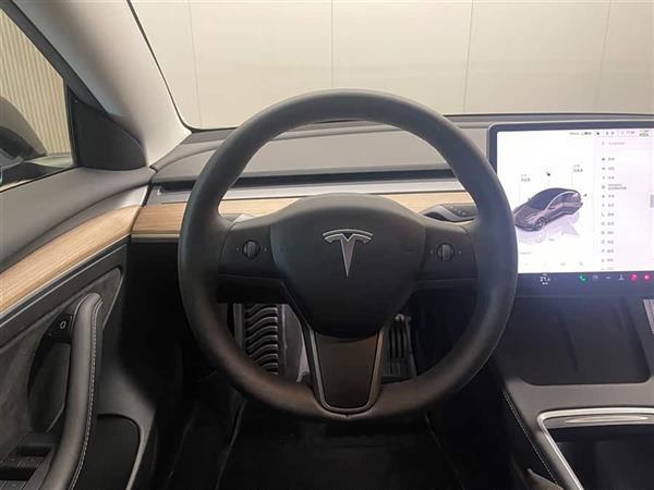 Model 3 2021款 Performance高性能全轮驱动版 3D6