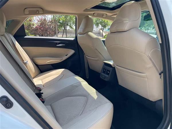 亚洲龙 2019款 2.0L 豪华版 国VI