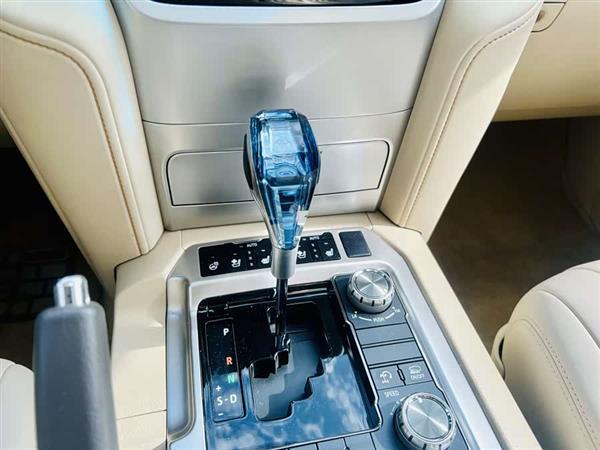 兰德酷路泽(进口) 2020款 4.6L 中东版