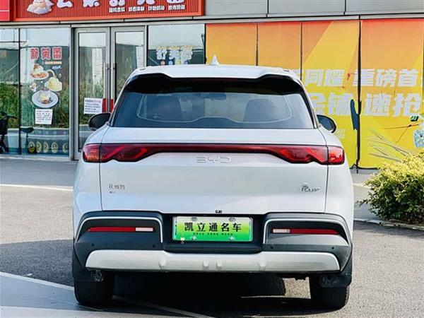 元UP 2024款  401KM 活力版