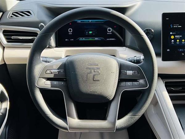 元UP 2024款  401KM 活力版