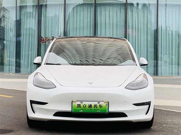 Model 3 2021款 Performance高性能全轮驱动版