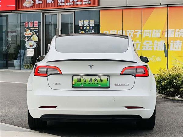 Model 3 2021款 Performance高性能全轮驱动版