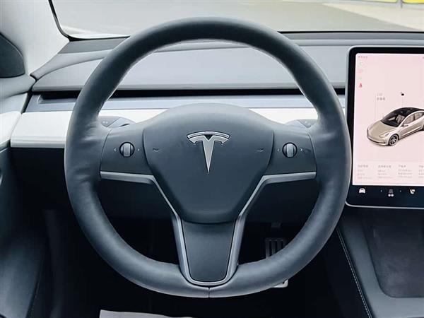 Model 3 2021款 Performance高性能全轮驱动版