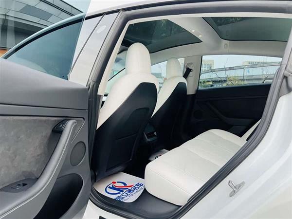 Model 3 2021款 Performance高性能全轮驱动版