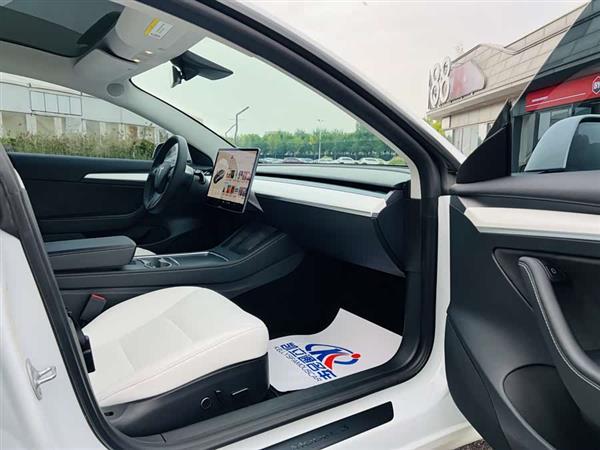 Model 3 2021款 Performance高性能全轮驱动版