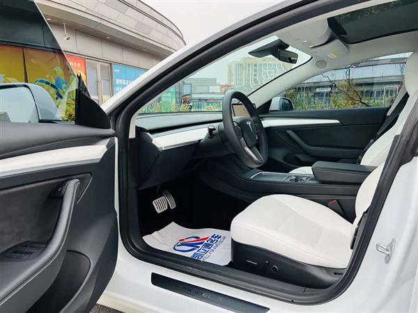Model 3 2021款 Performance高性能全轮驱动版