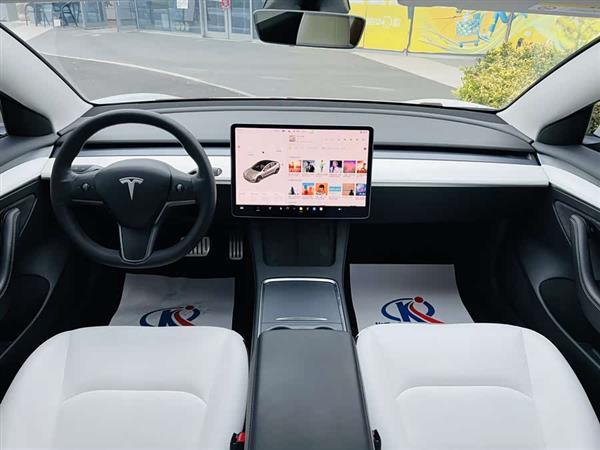 Model 3 2021款 Performance高性能全轮驱动版