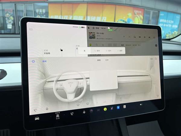 Model 3 2021款 Performance高性能全轮驱动版