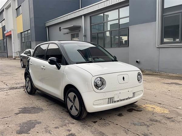 欧拉黑猫 2019款 351km 灵趣版