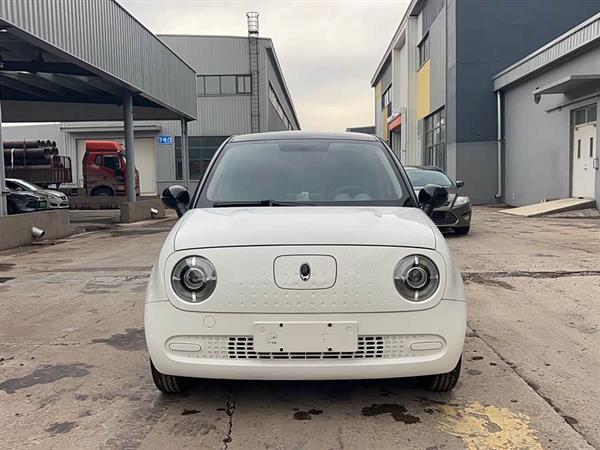 欧拉黑猫 2019款 351km 灵趣版