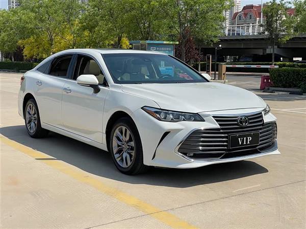 亚洲龙 2019款 2.0L 豪华版 国VI