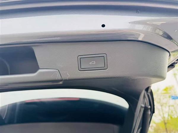 ID.4 X 2024款 纯净智享版