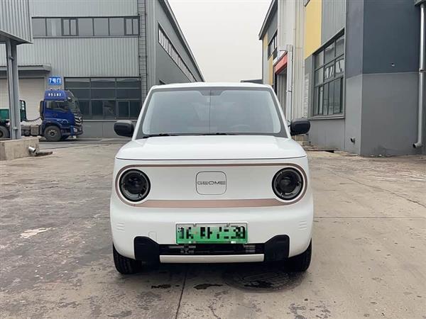 熊猫 2023款 熊猫mini 120km 超萌熊