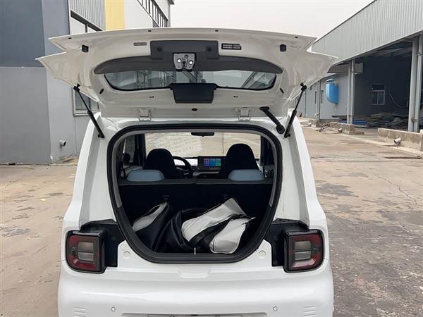 熊猫 2023款 熊猫mini 120km 超萌熊